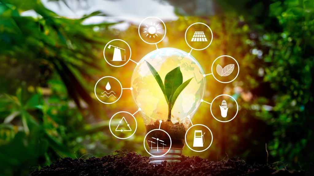 UNF lanza concurso para financiar proyectos con enfoque en tecnologías verdes