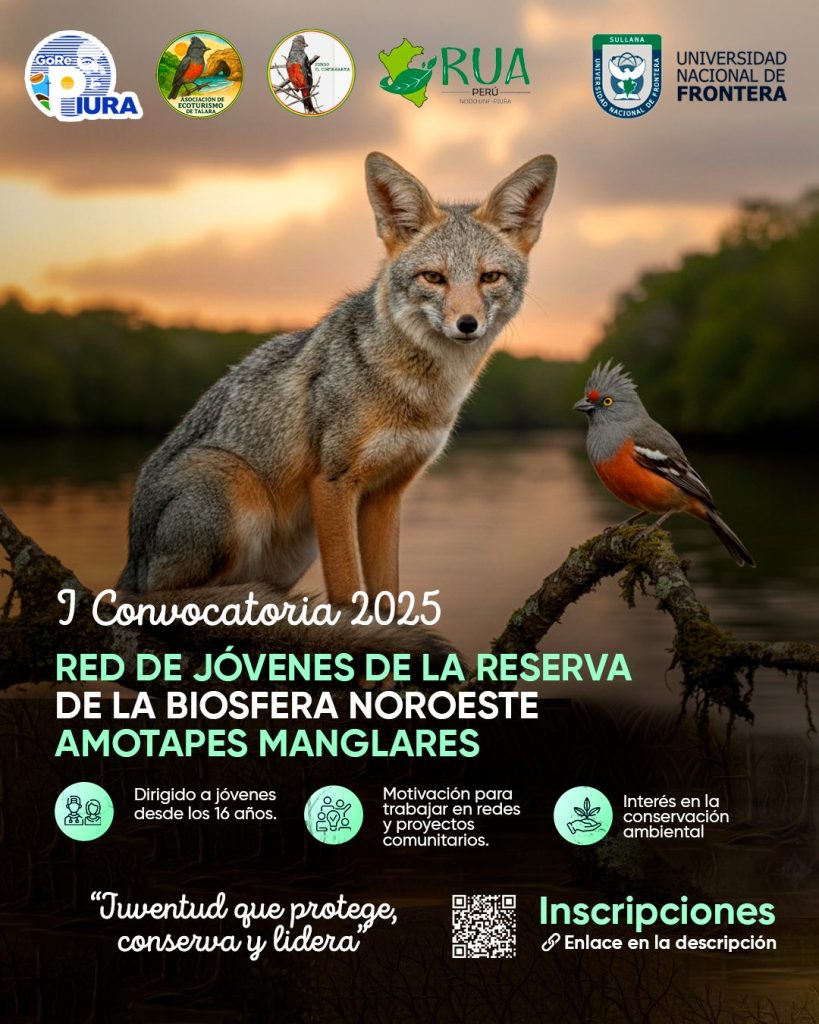 Jóvenes de Tumbes y Piura son convocados a unirse a la Red de Jóvenes de la Reserva de Biosfera Noroeste Amotapes–Manglares